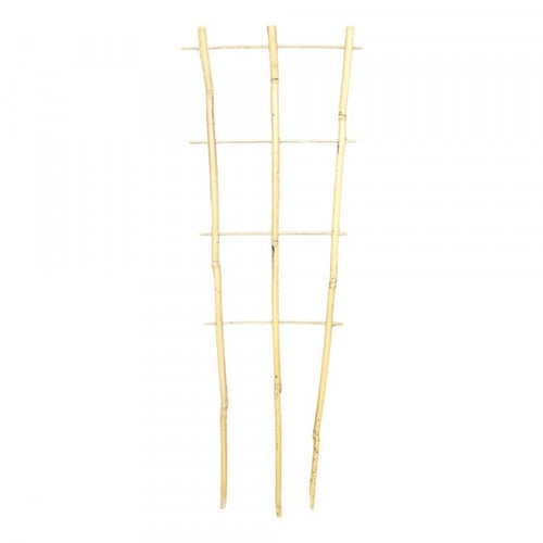 60cm Bamboo Trainer