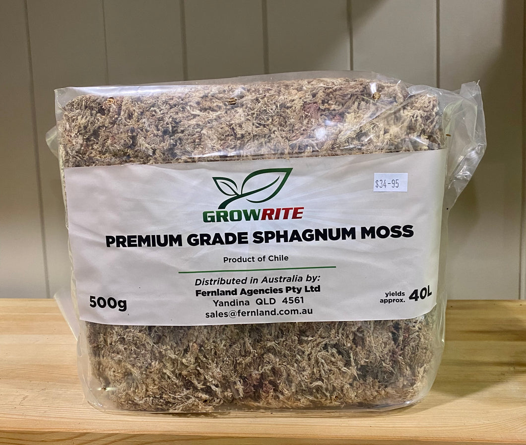 Sphagnum Moss